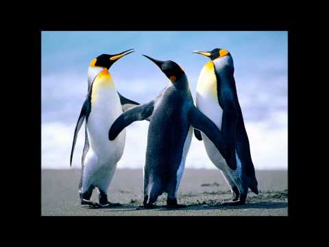 תפילה של סתיו 