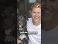 AI turns hosts into their dog doppelgangers