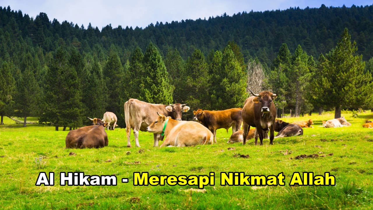 083 KH Yazid Bustomi • Meresapi Nikmat Allah