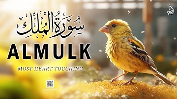 Peaceful recitation of Surah Mulk (The Kingdom) سورة الملك | Al-Huda-Quran