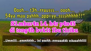 seperti inilah wujud perkebunan jagung yg sangat subur di desaku_kisah nyata cerpen romantis 2