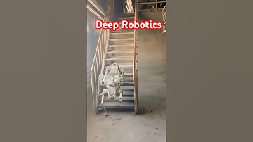 AI-Driven Quadruped Robots: Innovation and Application