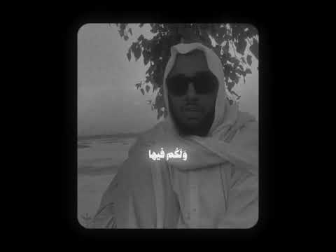 محمد منيب وشجرة تخرج من طور سيناء تنبت بالدهن وصبغ للآكلين