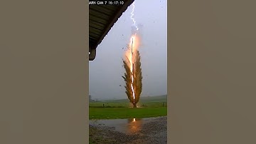 Lightning Strike Hits Tree! ⚡🌲 Caught On Camera#LightningStrike #CaughtOnCamera #TreeStrike