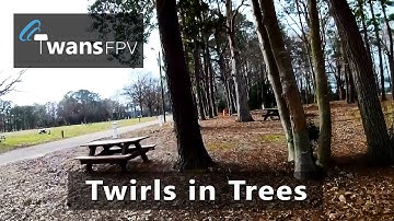 Twirls in Trees - Lumenier QAV250 FPV