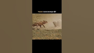 When Hacker meet Developer