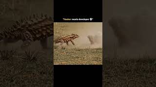 When Hacker meet Developer Net Worth