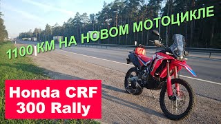 видео: Обзор Honda CRF300 Rally: 1100 км на новом мотоцикле / Suha82 картинка: Обзор Honda CRF300 Rally: 1100 км на новом мотоцикле / Suha82