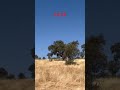 campeonato de España de compak sporting en Extremadura