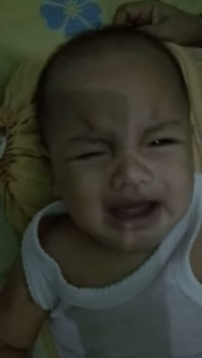 BOKIF NANGIS
