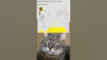 They are always so clean