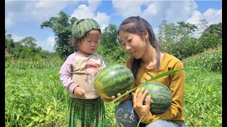 Mother and daughter went to pick watermelons to sell in a small village