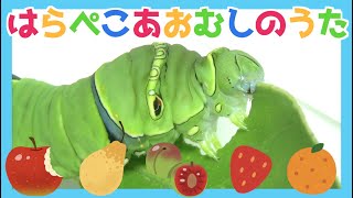 はらぺこあおむしのうた【歌：むし岡だいき】