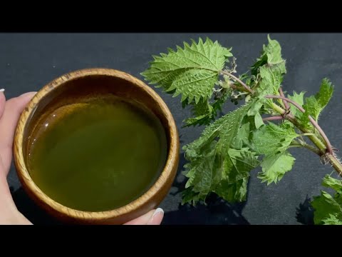 Unbelievable. Mix nettle with olive oil. You will be surprised at the result. Useful plants 🌱