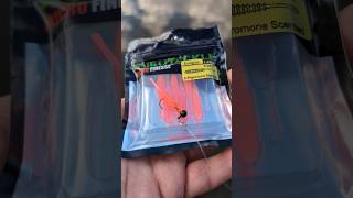 Catching a Yellow Perch with Eurotackle Eurogrub 1.4" Soft Plastic Fishing Lure | ASMR