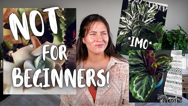 "Beginner Plants" Not Actually Great for Beginners! | Difficult Beginner Houseplants!