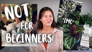 'Beginner Plants' Not Actually Great for Beginners! | Difficult Beginner Houseplants!