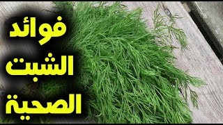 فوائد الشبت الأخضر لن تصدق ماذا يفعل فى اجسادنا تناول الشبت !!!