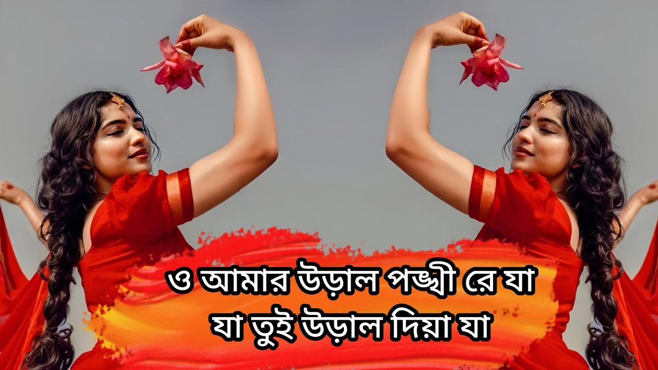 ও আমার উড়াল পঙ্খী রে যা যা তুই উড়াল দিয়া যা | New Bangla dj remix song Mr rubel mix 