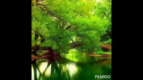والله يدعو إلى دار السلام _ الآيات (٢٥_٢٦) من سورة يونس