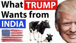 Why is Donald Trump angry with India & what exactly is his problem with cows? - Current Affairs 2018