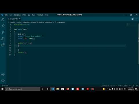 C tutorial session8 While loop (iteration based on user input check)