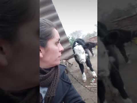 Hilda traicionera !!!