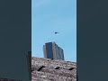 AS 350 Águia Polícia Militar