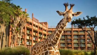 Resort Tour | Disney's Animal Kingdom Lodge and Villas (Jambo House & Kidani Village) - Orlando, FL