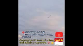 🔴_VIRAALL SP MJ_vs SP PJW Link download MP3 ada Di Deskripsi 👇