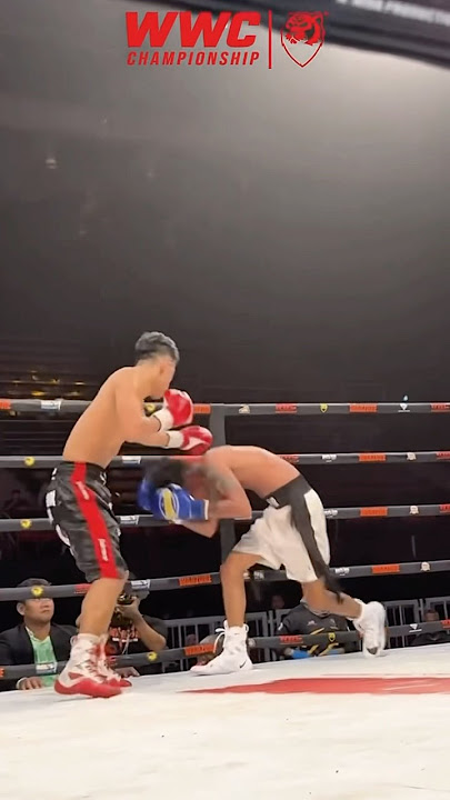 Satria Mahathir berlutut didepan The Shark Boy