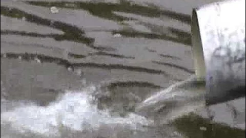 Walleye Stocking at Sand Lake in Minnesota