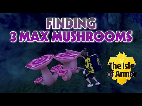 Видео: Pok Mon Isle Of Armor: Max Mushroom локации - как найти Max Mushrooms для второго испытания Dojo