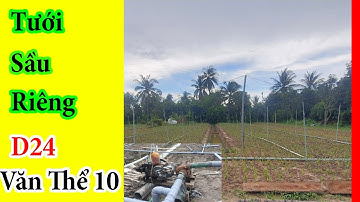 Lắp đặt béc tưới vườn ươm giống sầu riêng với Máy D24 và Đầu bơm Văn Thể 100. TÍN DƯƠNG 0932934961