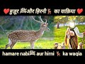 हज़रत मुहम्मद ﷺ और जंगल का हिरण एक रूहानी कहानी #Islamic  video# subscribe,