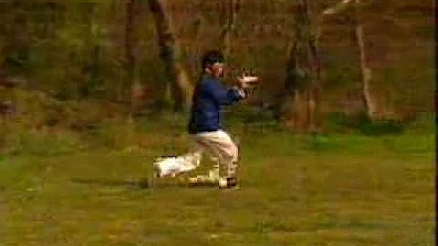 Master Ji Jian Cheng Sun style Bagua