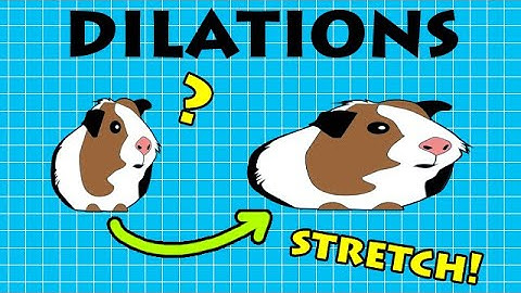 Transforming with Dilations and what they look like | VCE METHODS