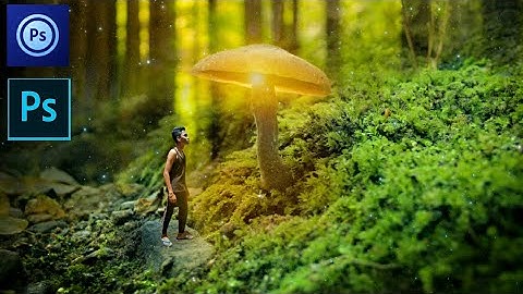 Photoshop And PS touch Tutorial (mobile)