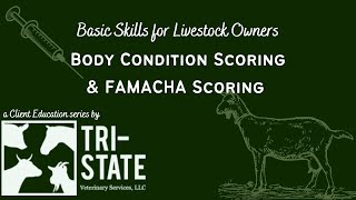 Basic Skills For Livestock Owners Body Condition Scoring And Famacha Scoring