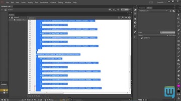 16-The Switch Statement- Mobile Apps Development Video Tutorials Using Adobe Flash Prof CC -WzTechno