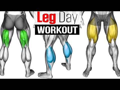 Full LEG Muscle Transformation 8 Best Exercises