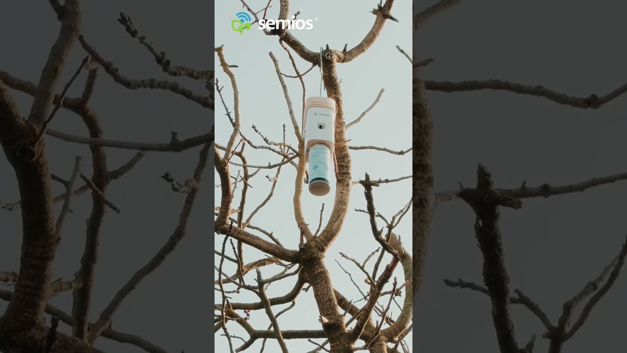 Are you tracking pistachio chill yet? 