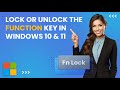 How to lock or unlock the function key in windows 10  11