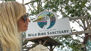 Florida Keys Laura Quinn Wild Bird Sanctuary | Key Largo Unique Things To Do