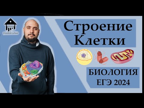 Строение клетки - ОРГАНОИДЫ для ЕГЭ |ЕГЭ БИОЛОГИЯ 2024|Freedom|