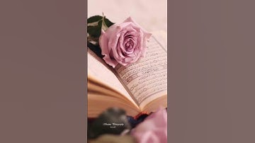 تلاوة خاشعة ومؤثرة للشيخ ياسر الدوسري سوره مريم