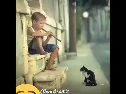 هم دلي از هم زباني بهتر است