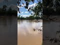 Aventura en Río Tambopata