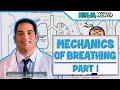 Respiratory  mechanics of breathing pressure changes  part 1