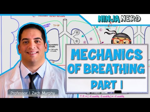 Respiratory | Mechanics of Breathing: Pressure Changes | Part 1